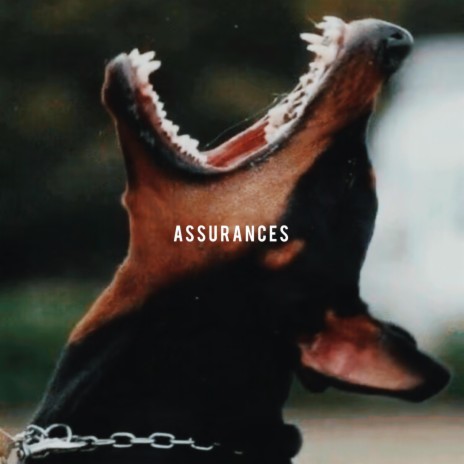 Assurances | Boomplay Music