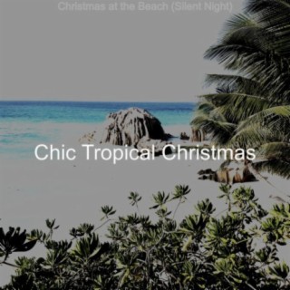 Christmas at the Beach (Silent Night)