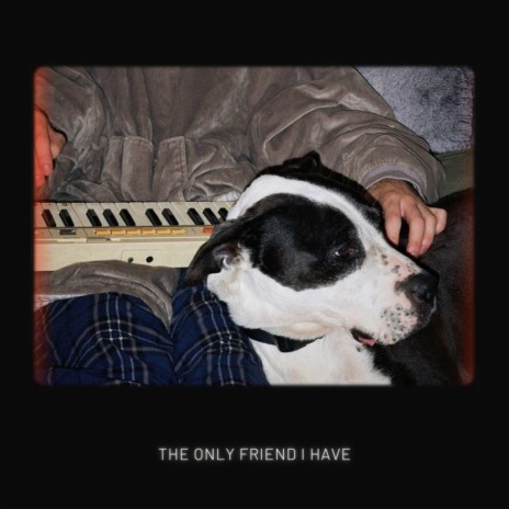 the only friend i have | Boomplay Music