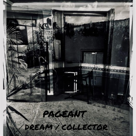Dream/Collector | Boomplay Music
