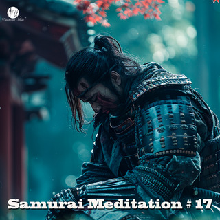 Samurai Meditation # 17