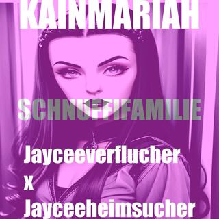 Jayceeverflucher x Jayceeheimsucher