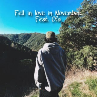 fell in love in november