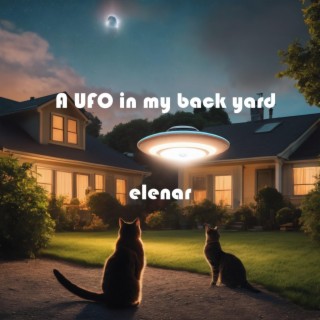 A UFO in my back yard