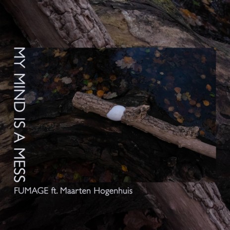 My Mind Is A Mess ft. Maarten Hogenhuis