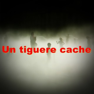 Un tiguere cache