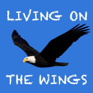 Living On The Wings lyrics | Boomplay Music