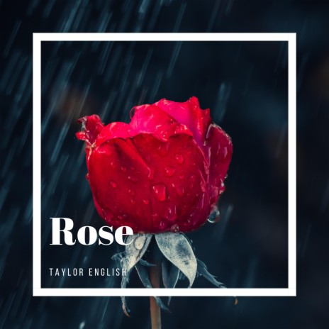 Rose | Boomplay Music
