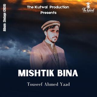 Mishtik Bina (Shina Song)