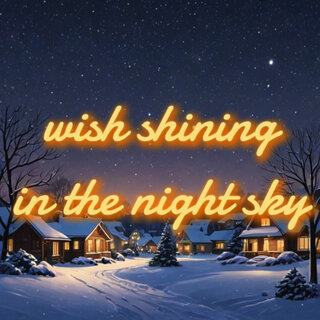 Wish Shining in the Night Sky