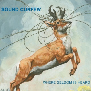 Where Seldom Is Heard