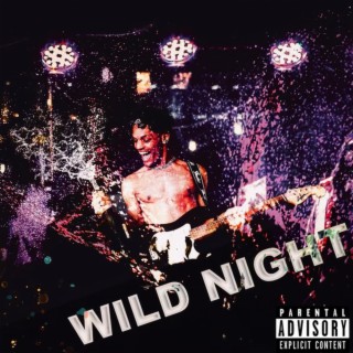 Wild Night lyrics | Boomplay Music