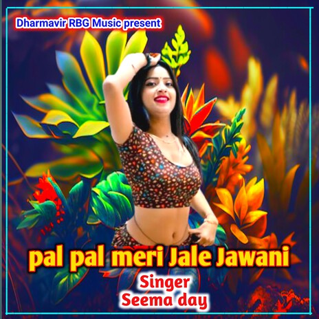 Pal Pal Meri Jale Jawani | Boomplay Music