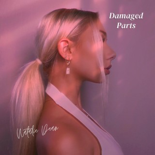 Damaged Parts