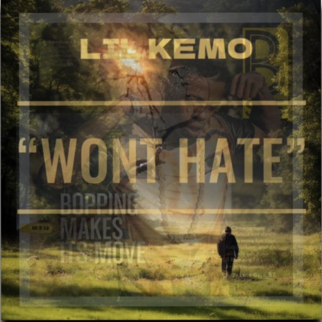 Won't Hate | Boomplay Music