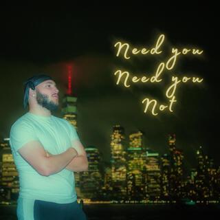 Need you, Need you not lyrics | Boomplay Music