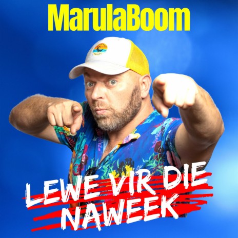 Lewe Vir Die Naweek | Boomplay Music