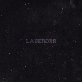 Lavender