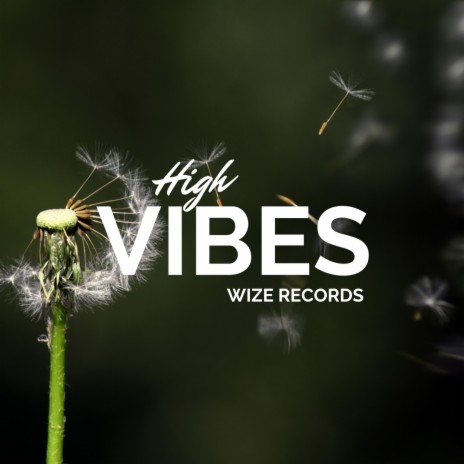 High Vibes | Boomplay Music