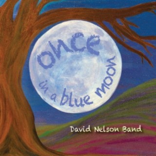 David Nelson Band