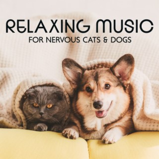 Relaxing Music for Nervous Cats & Dogs: Soothing Instrumental for Hyperactive Pets, Quick Therapy for Stress and Anxiety Relief