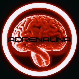 Adrenalina ft. TRYZZY lyrics | Boomplay Music