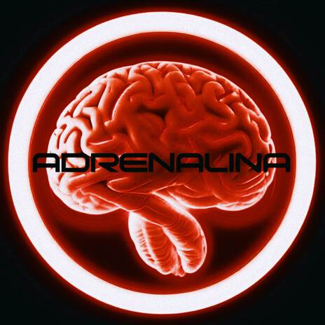 Adrenalina ft. TRYZZY | Boomplay Music