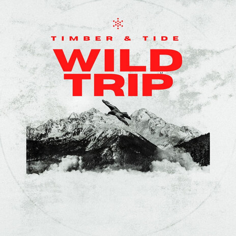 Wild Trip | Boomplay Music