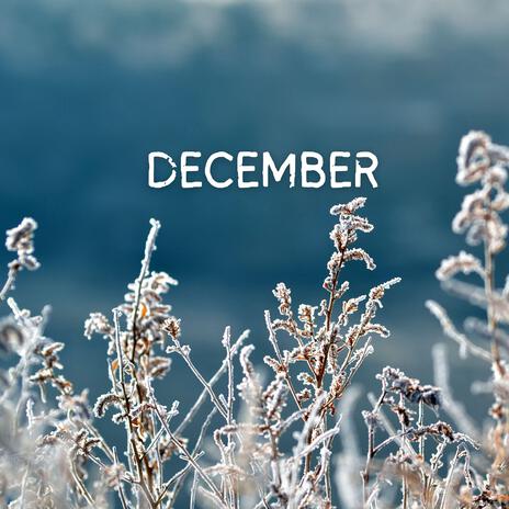 November Again | Boomplay Music