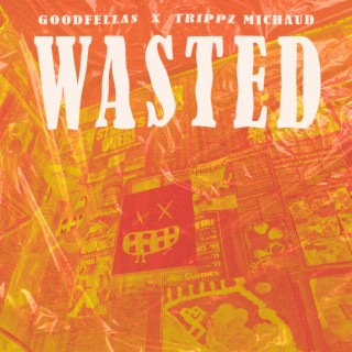 Wasted ft. Trippz Michaud lyrics | Boomplay Music