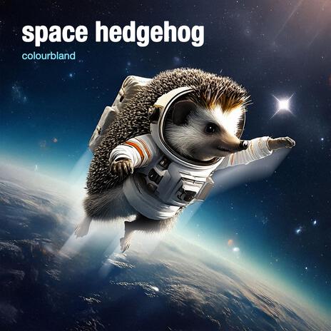 Space Hedgehog | Boomplay Music