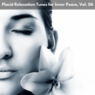 Placid Relaxation Tunes for Inner Peace, Vol. 06