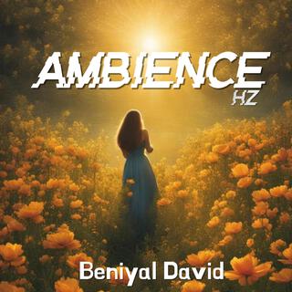 Ambience HZ