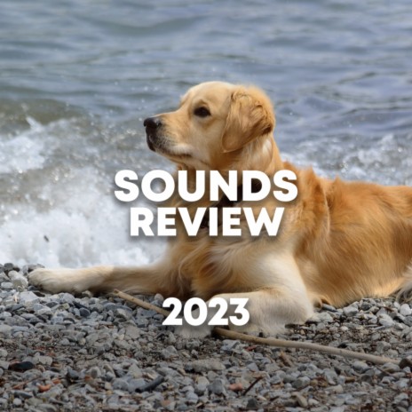 White Noise For Dogs | Boomplay Music