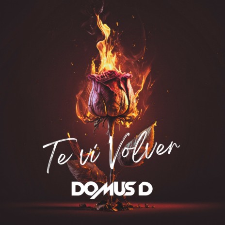 Te vi volver | Boomplay Music