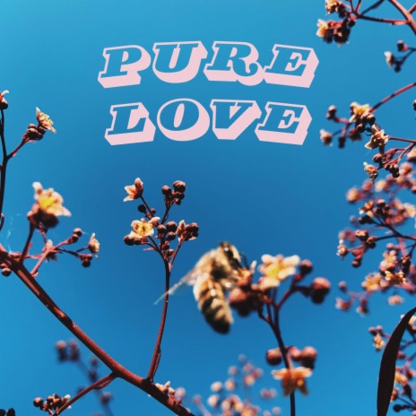 Pure Love | Boomplay Music