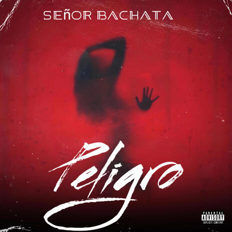 Peligro versión salsa ft. Senor bachata | Boomplay Music