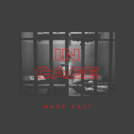 IN A CAGE | Boomplay Music