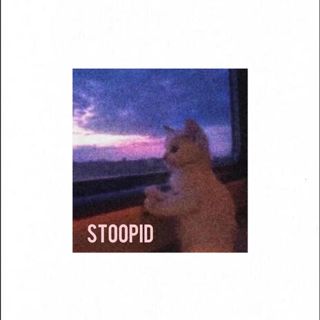 Stoopid | Boomplay Music