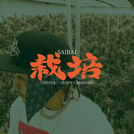 Saibai -栽培- | Boomplay Music