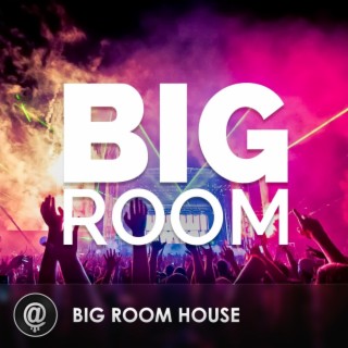 Bigroom Never Dies