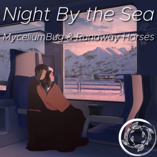 Night by the Sea