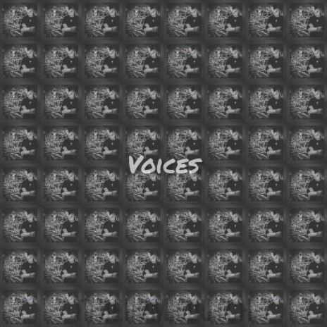 VOICES | Boomplay Music