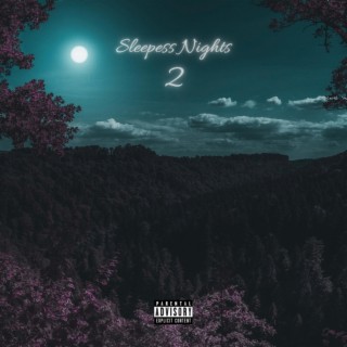 Sleepless Nights 2