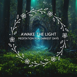 Awake the Light: Meditation for Darkest Days, Increase Positivity and Joy of Each Day, Let the Negativity Go
