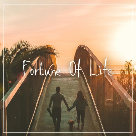 Fortune Of Life | Boomplay Music