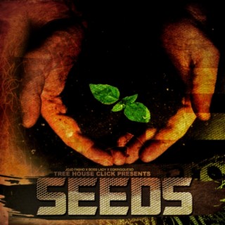 SEEDS