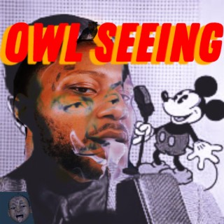 OWL SEEING