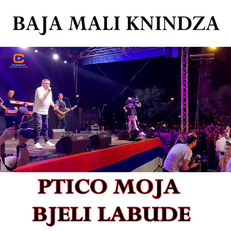 Ptico moja bjeli labude (Live) | Boomplay Music