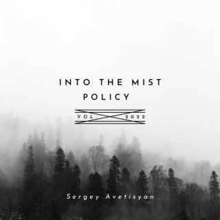 Into the mist policy